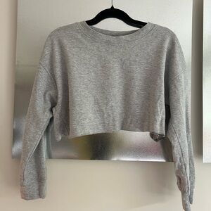 Zara Cropped Crewneck with flouncy Back